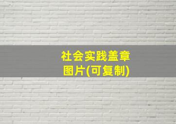 社会实践盖章图片(可复制)