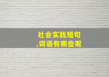 社会实践短句,词语有哪些呢