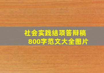 社会实践结项答辩稿800字范文大全图片