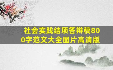 社会实践结项答辩稿800字范文大全图片高清版