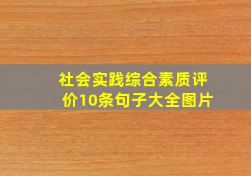 社会实践综合素质评价10条句子大全图片