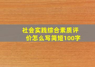 社会实践综合素质评价怎么写简短100字