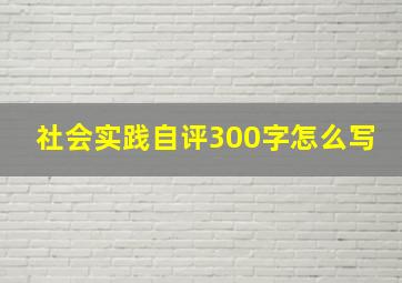 社会实践自评300字怎么写