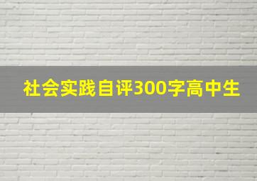 社会实践自评300字高中生