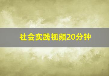 社会实践视频20分钟