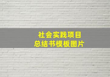 社会实践项目总结书模板图片