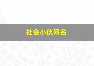 社会小伙网名