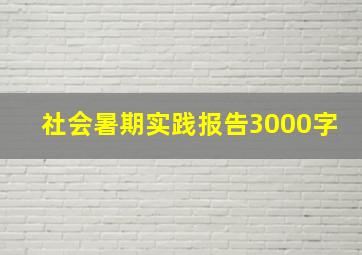 社会暑期实践报告3000字