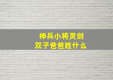 神兵小将灵剑双子爸爸姓什么