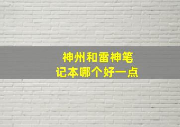 神州和雷神笔记本哪个好一点