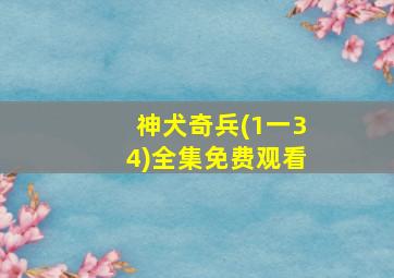 神犬奇兵(1一34)全集免费观看