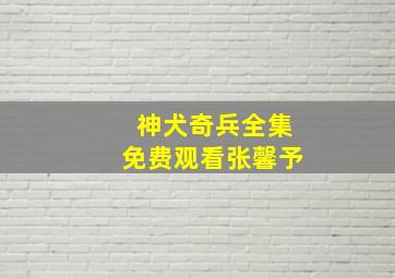 神犬奇兵全集免费观看张馨予