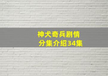 神犬奇兵剧情分集介绍34集