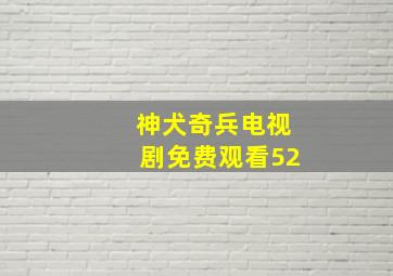 神犬奇兵电视剧免费观看52