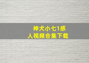 神犬小七1感人视频合集下载