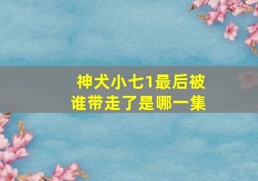 神犬小七1最后被谁带走了是哪一集