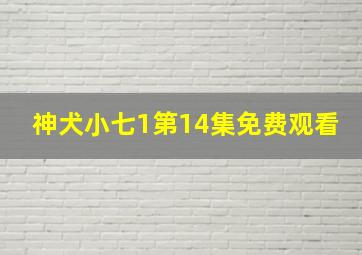 神犬小七1第14集免费观看