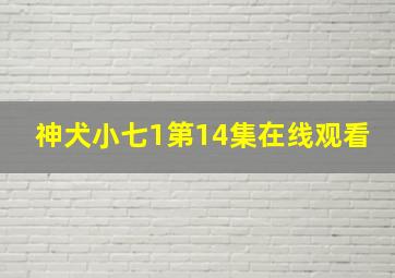 神犬小七1第14集在线观看