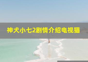 神犬小七2剧情介绍电视猫