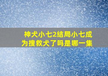 神犬小七2结局小七成为搜救犬了吗是哪一集