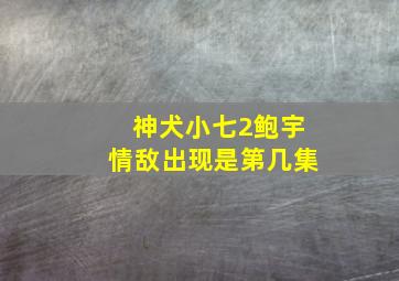 神犬小七2鲍宇情敌出现是第几集