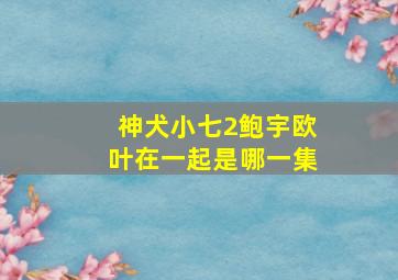 神犬小七2鲍宇欧叶在一起是哪一集