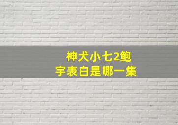 神犬小七2鲍宇表白是哪一集