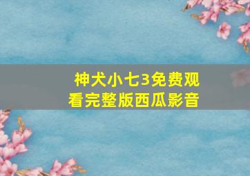 神犬小七3免费观看完整版西瓜影音