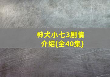 神犬小七3剧情介绍(全40集)