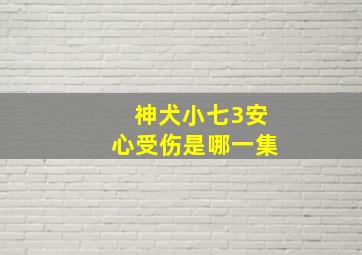 神犬小七3安心受伤是哪一集