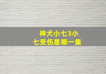 神犬小七3小七受伤是哪一集