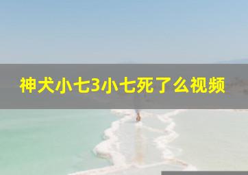 神犬小七3小七死了么视频