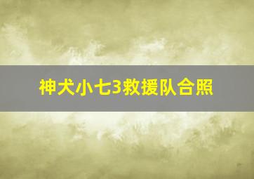 神犬小七3救援队合照