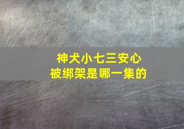 神犬小七三安心被绑架是哪一集的