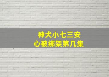 神犬小七三安心被绑架第几集