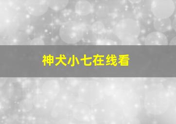 神犬小七在线看