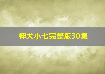 神犬小七完整版30集