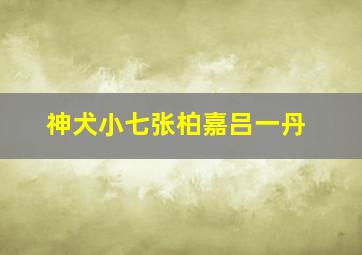 神犬小七张柏嘉吕一丹