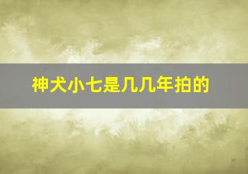 神犬小七是几几年拍的