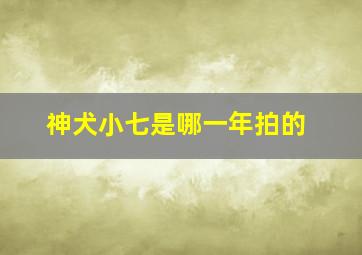 神犬小七是哪一年拍的