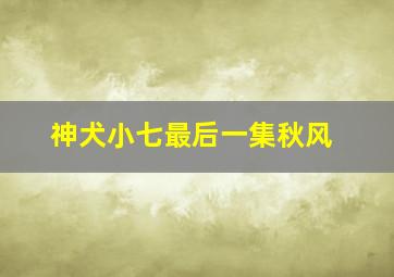 神犬小七最后一集秋风