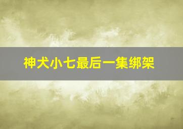 神犬小七最后一集绑架