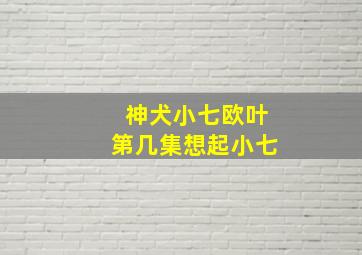 神犬小七欧叶第几集想起小七