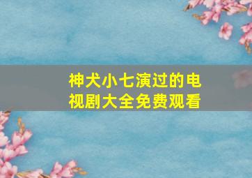 神犬小七演过的电视剧大全免费观看