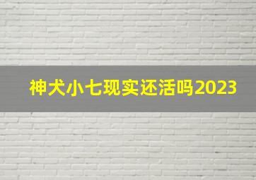 神犬小七现实还活吗2023