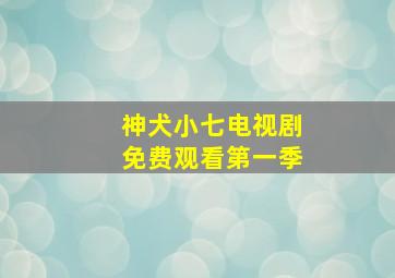 神犬小七电视剧免费观看第一季