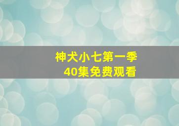 神犬小七第一季40集免费观看