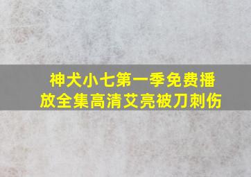 神犬小七第一季免费播放全集高清艾亮被刀刺伤