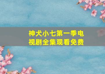 神犬小七第一季电视剧全集观看免费