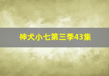 神犬小七第三季43集